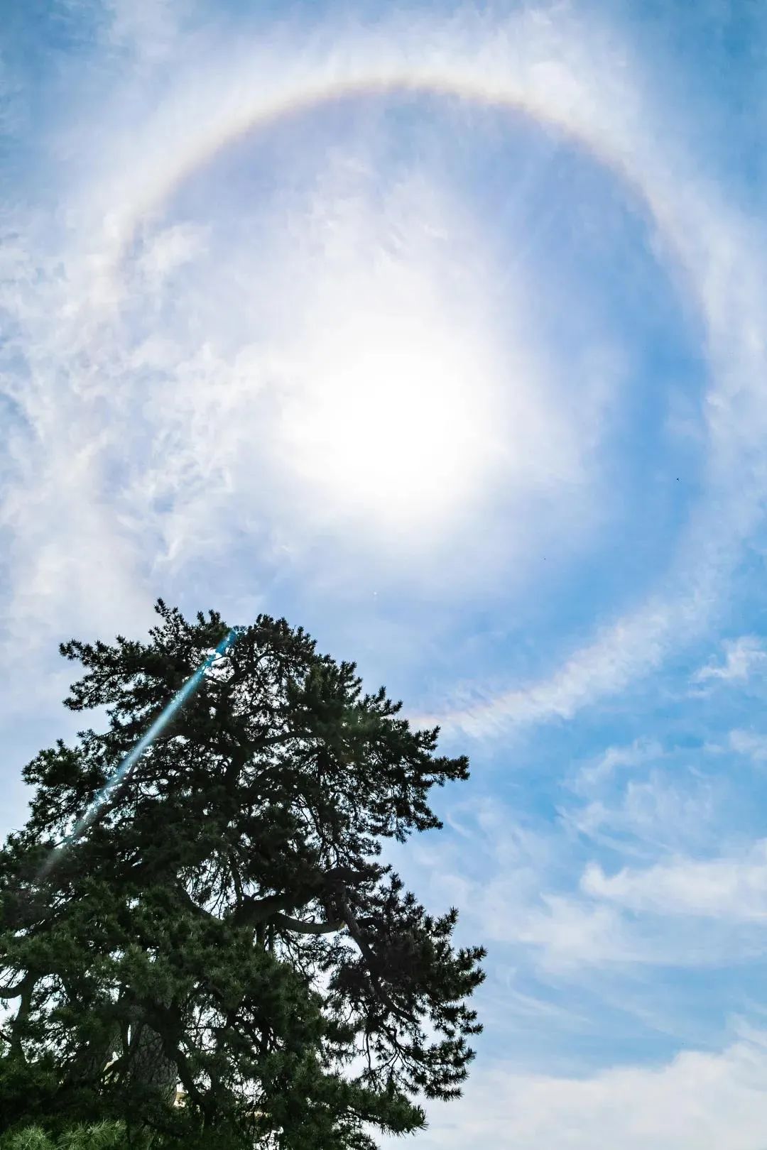 ��Ը��Ҫ���췢��һ��û��Ը�������չ��ˣ�