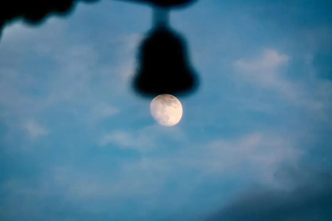 无论悟与不悟,便可死心念佛 无论悟与不悟,便可死心念佛