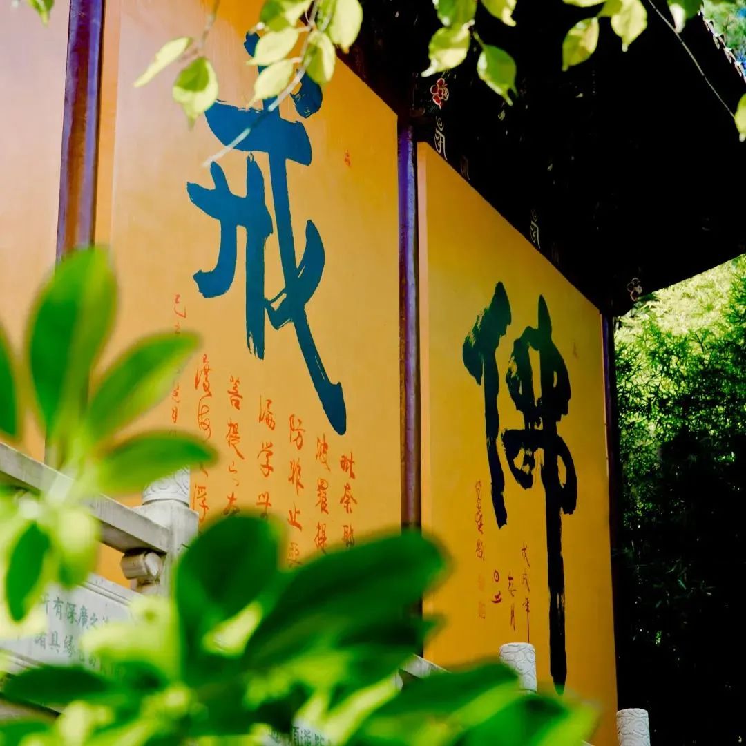 ���У�����������Ϊ