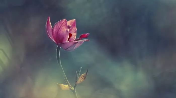 ���Ǹı�����������˵Ĺؼ�����