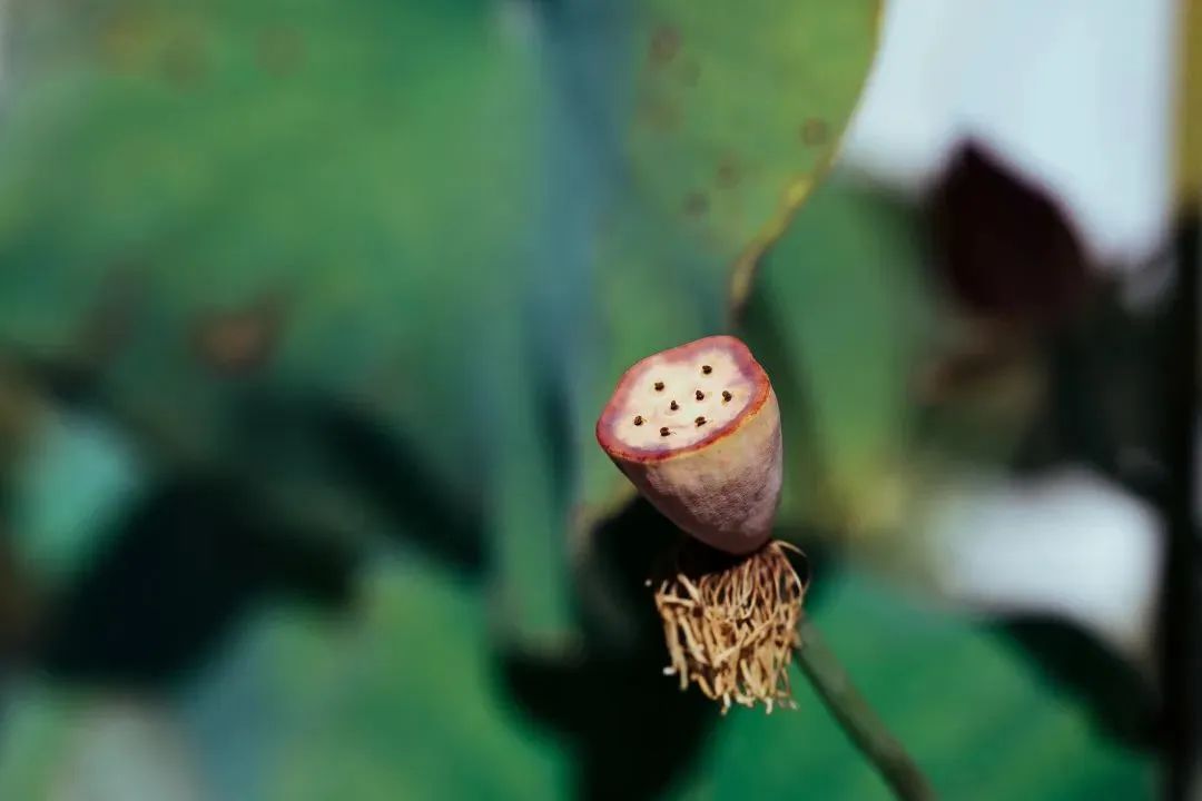 ��ͷס�ڵ��£������������д�����