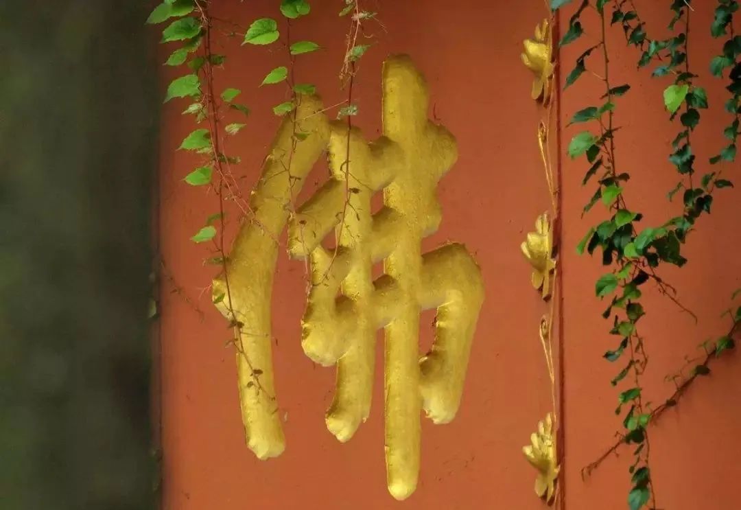 看印光大师论孝道 看印光大师论孝道