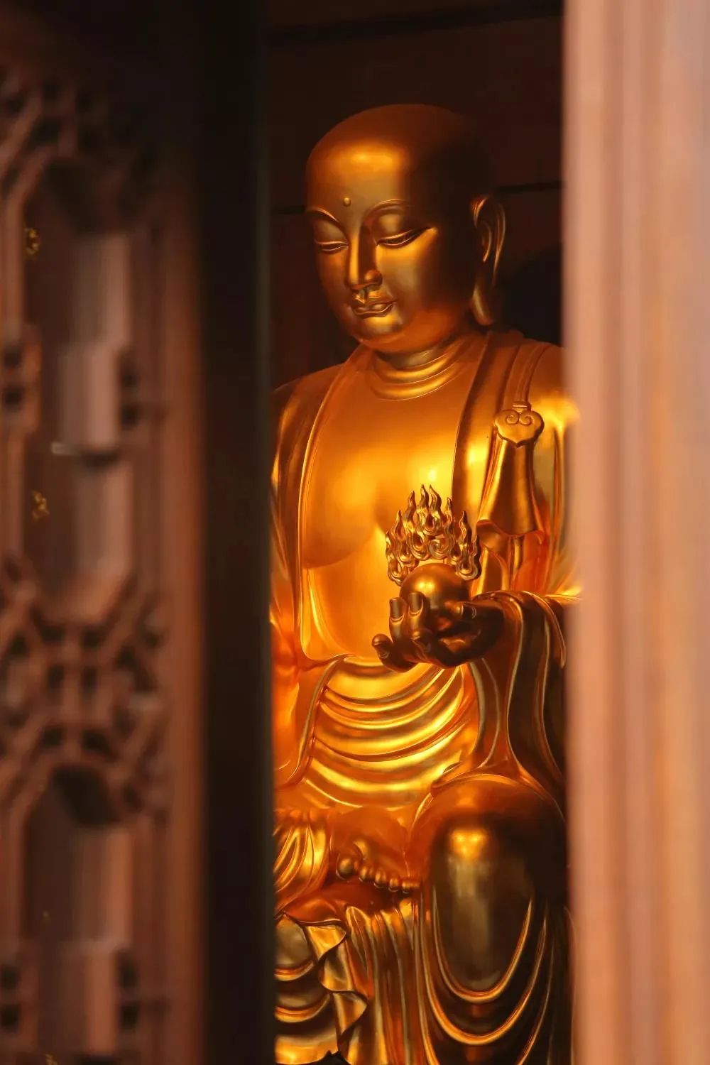 ÿ��һ�����ز�ʥ�ţ��49�죬�����ʲô����?