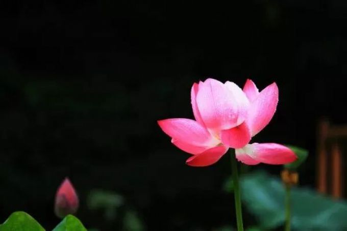 忙了一辈子,只有这个才是真正属于你的 忙了一辈子,只有这个才是真正属于你的