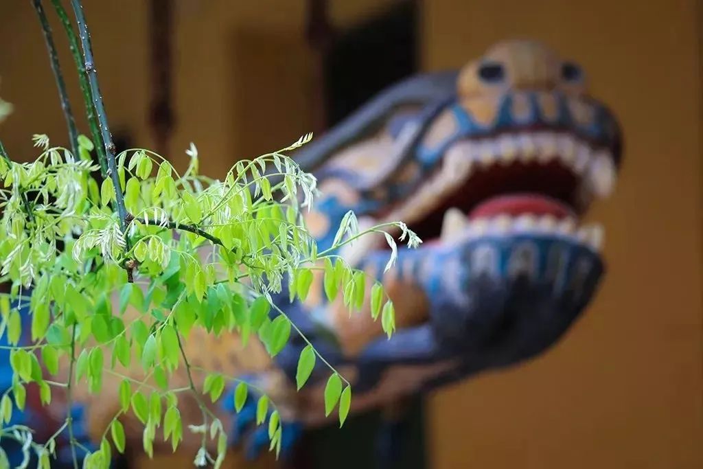 忙了一辈子,只有这个才是真正属于你的 忙了一辈子,只有这个才是真正属于你的