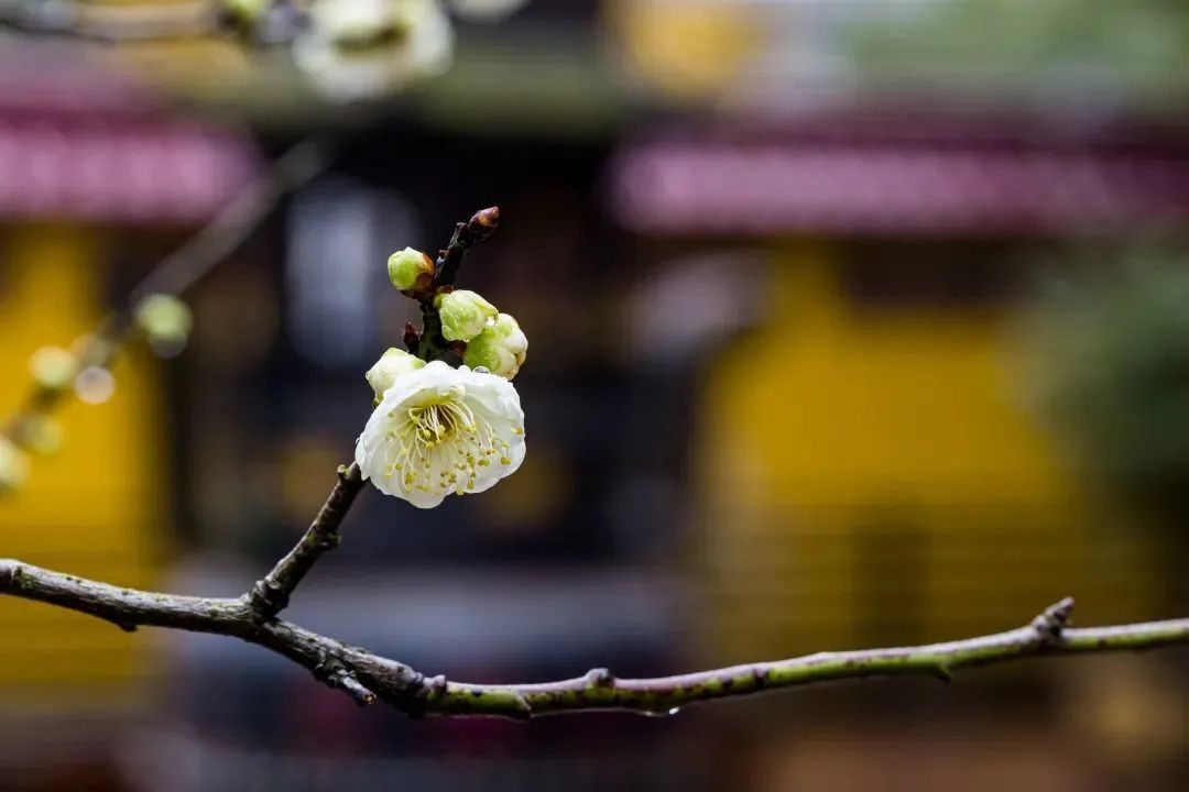 所有不善的念头,最终伤害的都是自己 所有不善的念头,最终伤害的都是自己