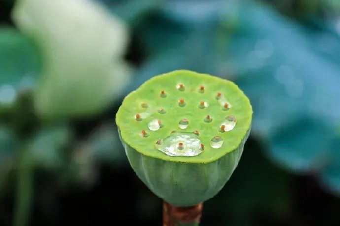 �����������Ƴ��ϰ�����������