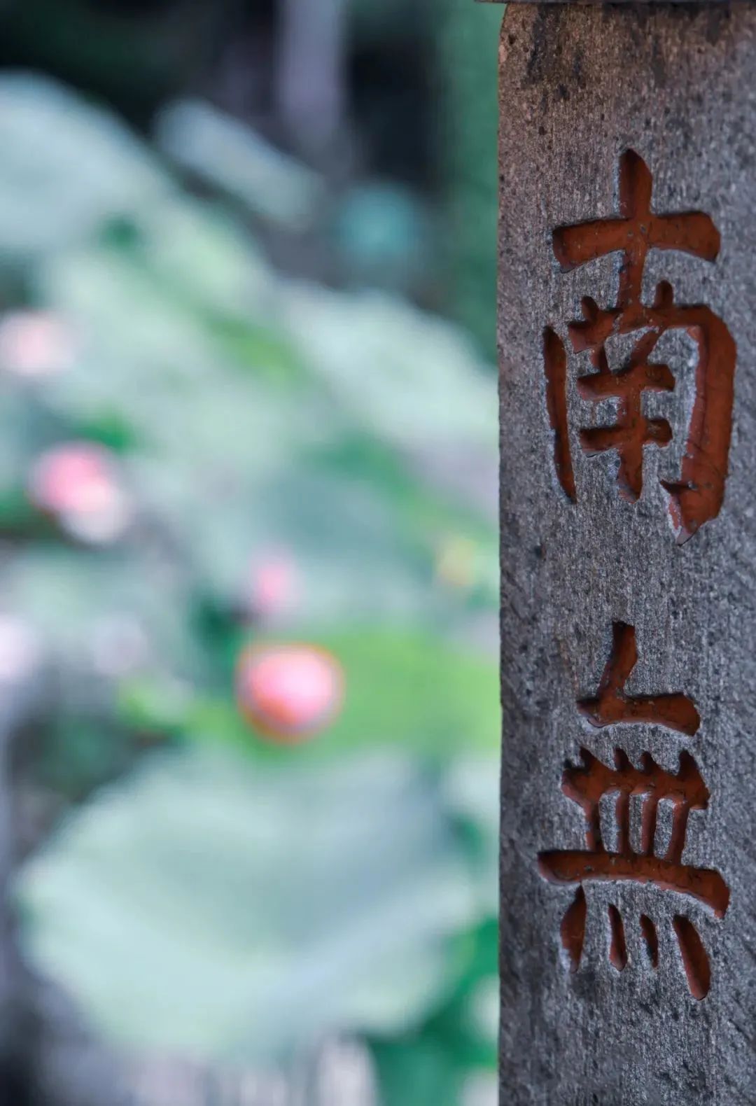 �����������Ƴ��ϰ�����������