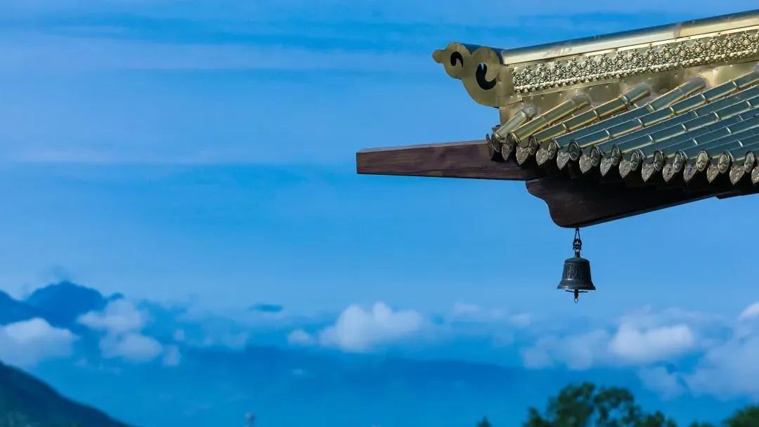 ���������������أ��������أ�����վ�أ�