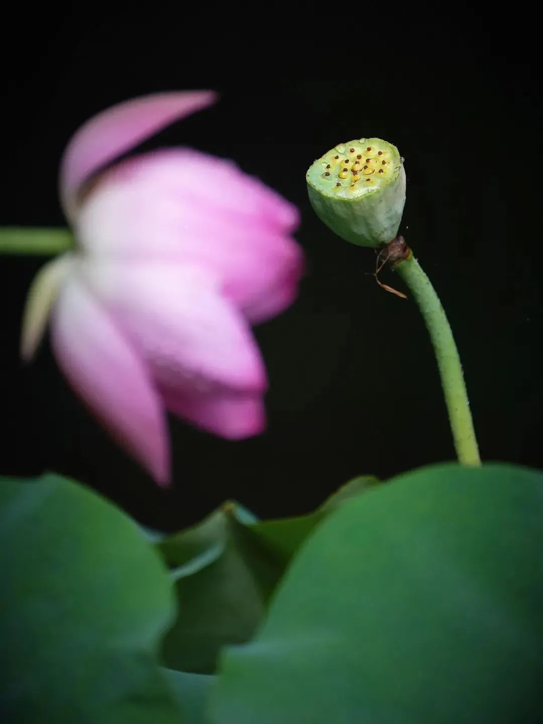 “我执”是世间一切是非纷争的根源 “我执”是世间一切是非纷争的根源