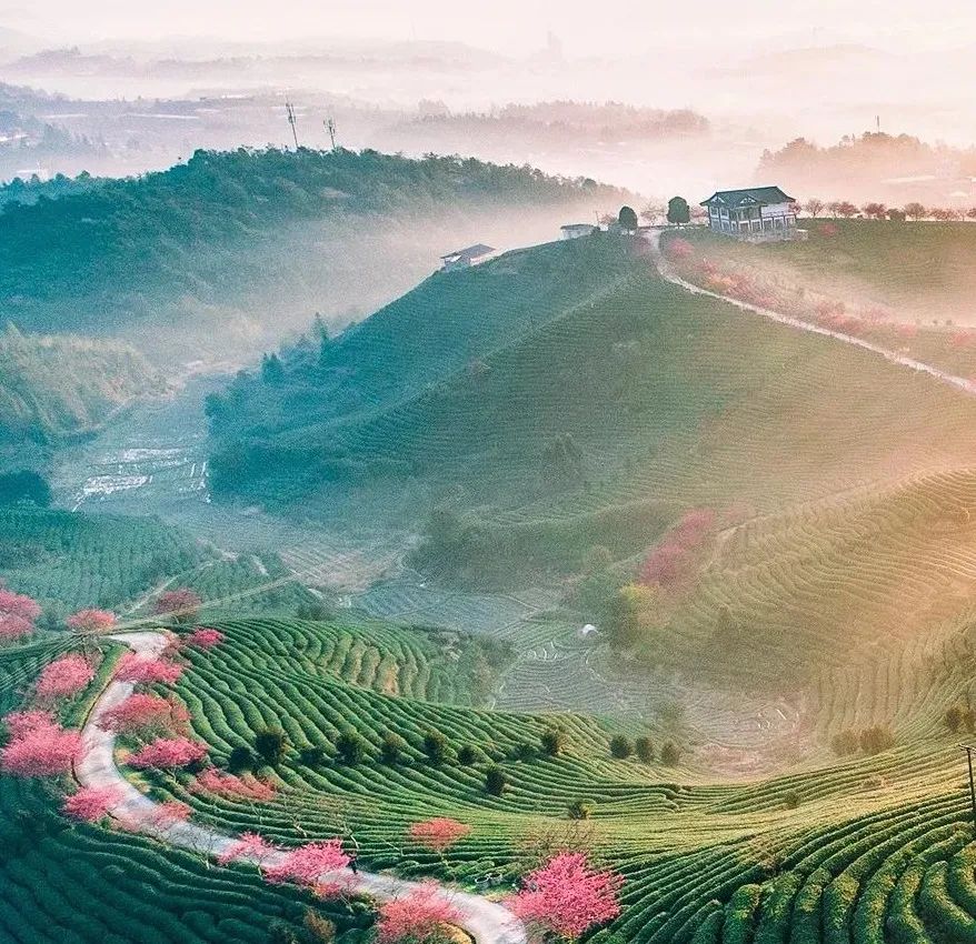 һ�������ˣ�ÿ���м����²�������