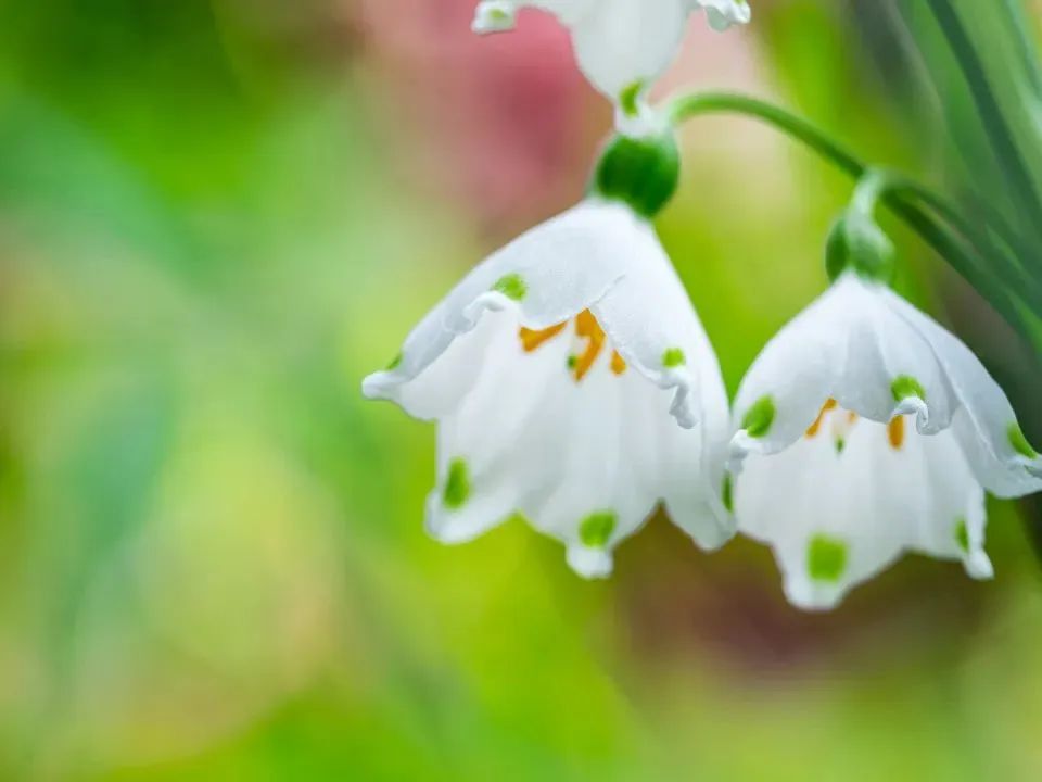 ѧ�������