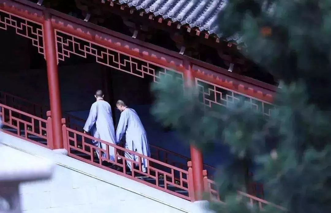 ��޳�����������ϧ��