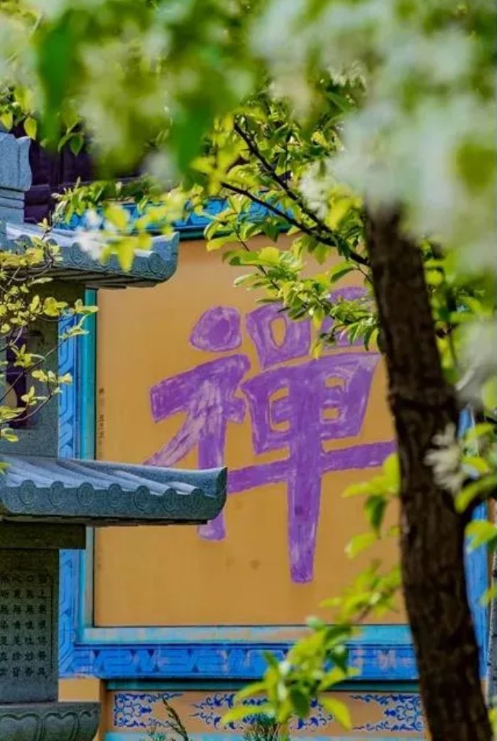 ����ʲô�������ĸ��֡����ڵ��¡�