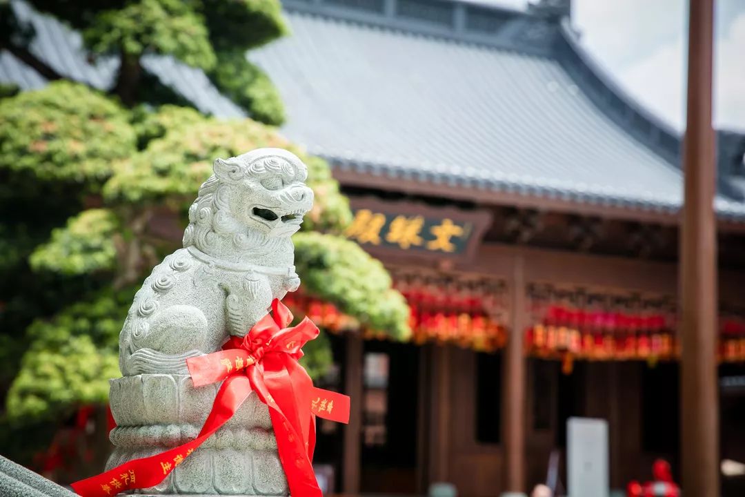 ����ʲô�������ĸ��֡����ڵ��¡�