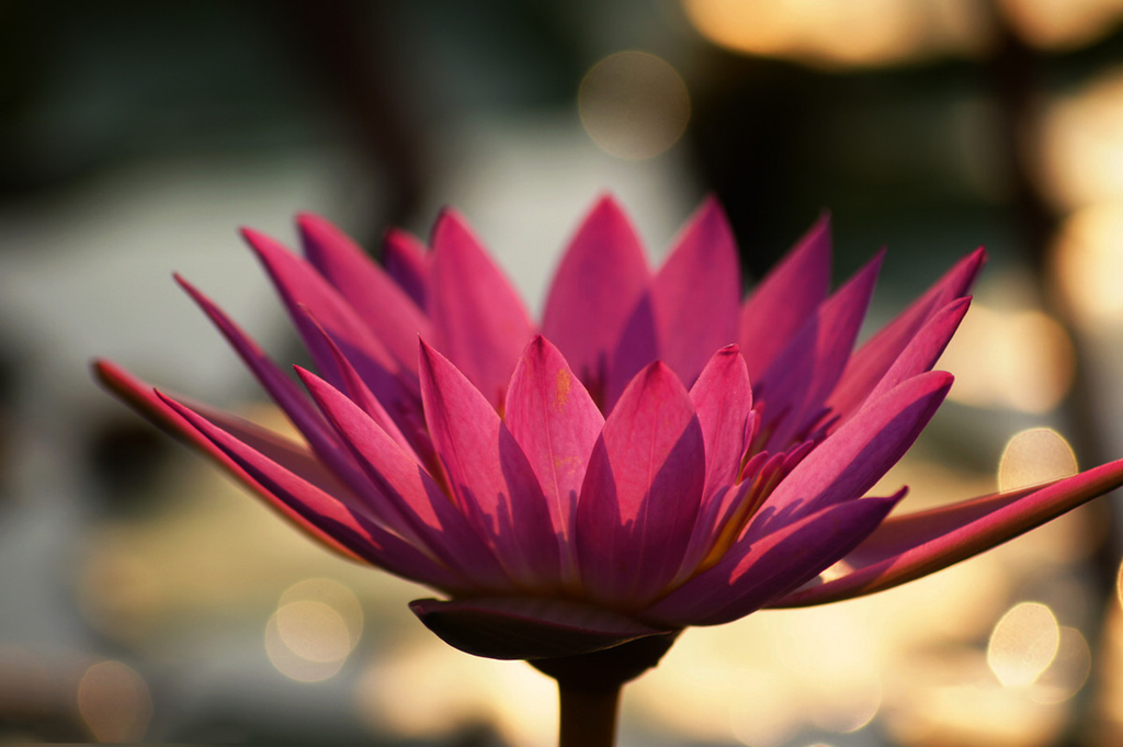 �мǣ���Ҫ����������ĸ�����