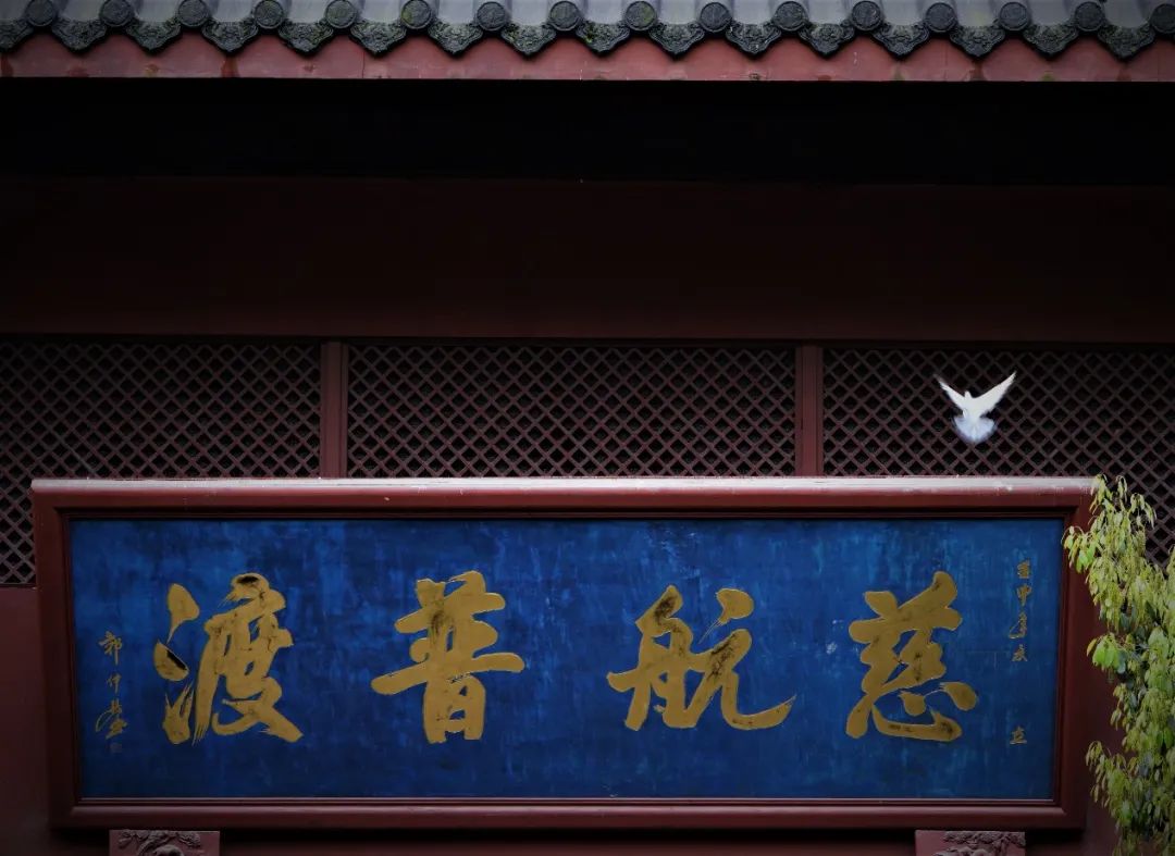 �������Ǵȱ���