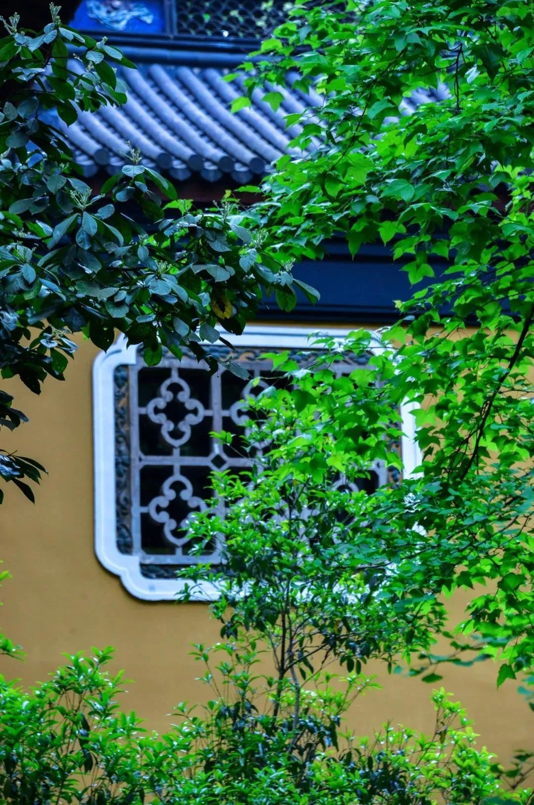 ������Ե�����ˣ���������ϰ������