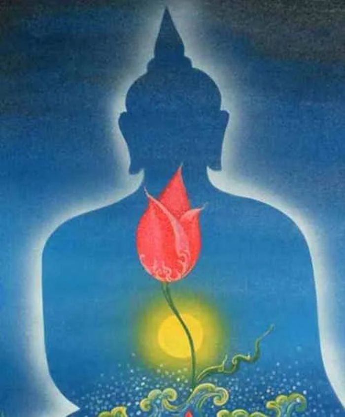 �����������˸�ԭ�����غ�����