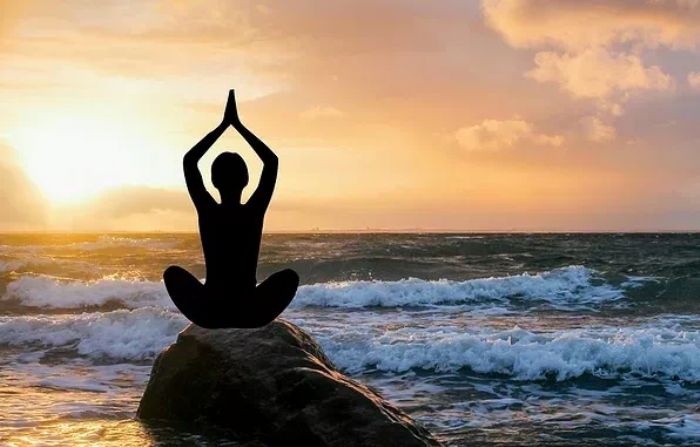 �����������˸�ԭ�����غ�����