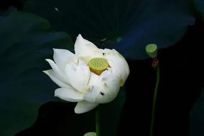 ����ǧ�겻�򣬲���һ�մ�·��