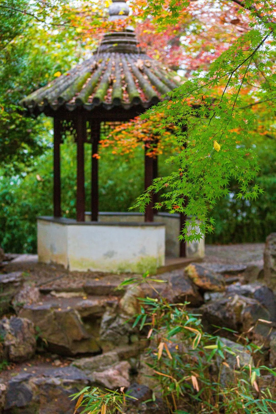 ѧ�����������ﺦ����ô��?