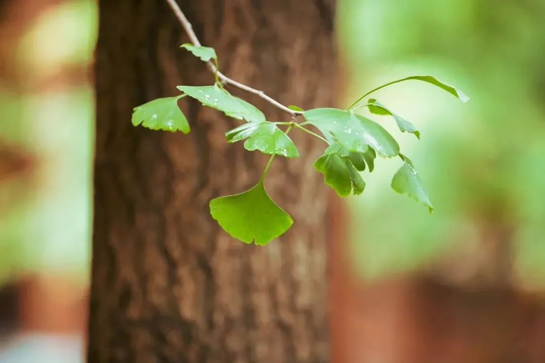 Խ��ĬĬ������Խ������Ե��Խ�Ǻ��ù�