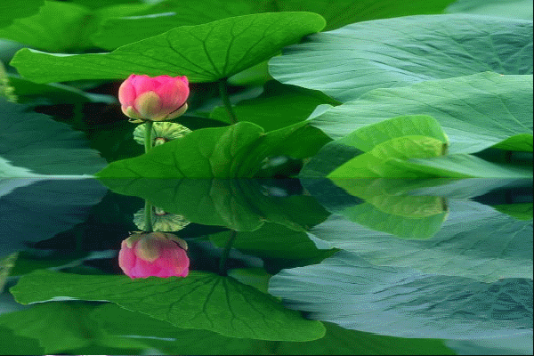 ����ô�ã���ô��������ѷ�����