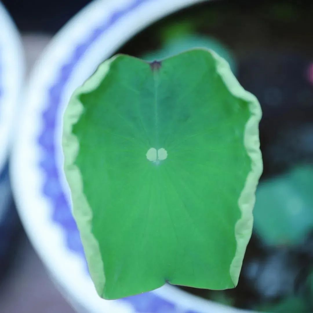 教你学会消业障的方法!(建议收藏) 教你学会消业障的方法!(建议收藏)