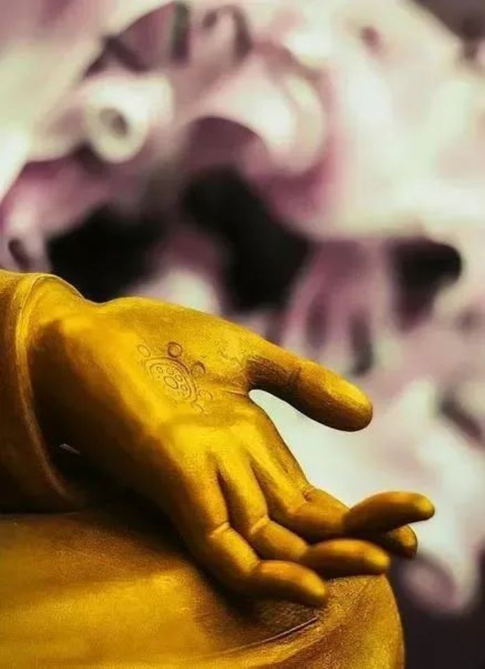 ѧ����Ҫ�ر��Ƿ�֮��