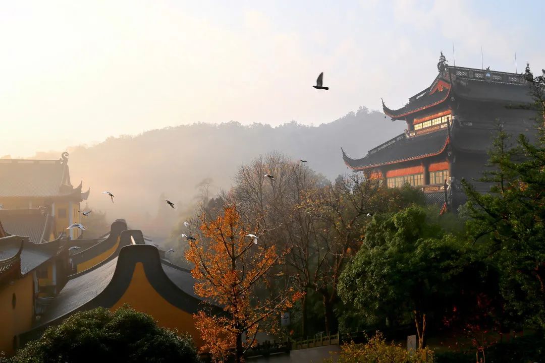 ���ǵ���ΪʲôҪ�ŷ�������ŷ��أ�