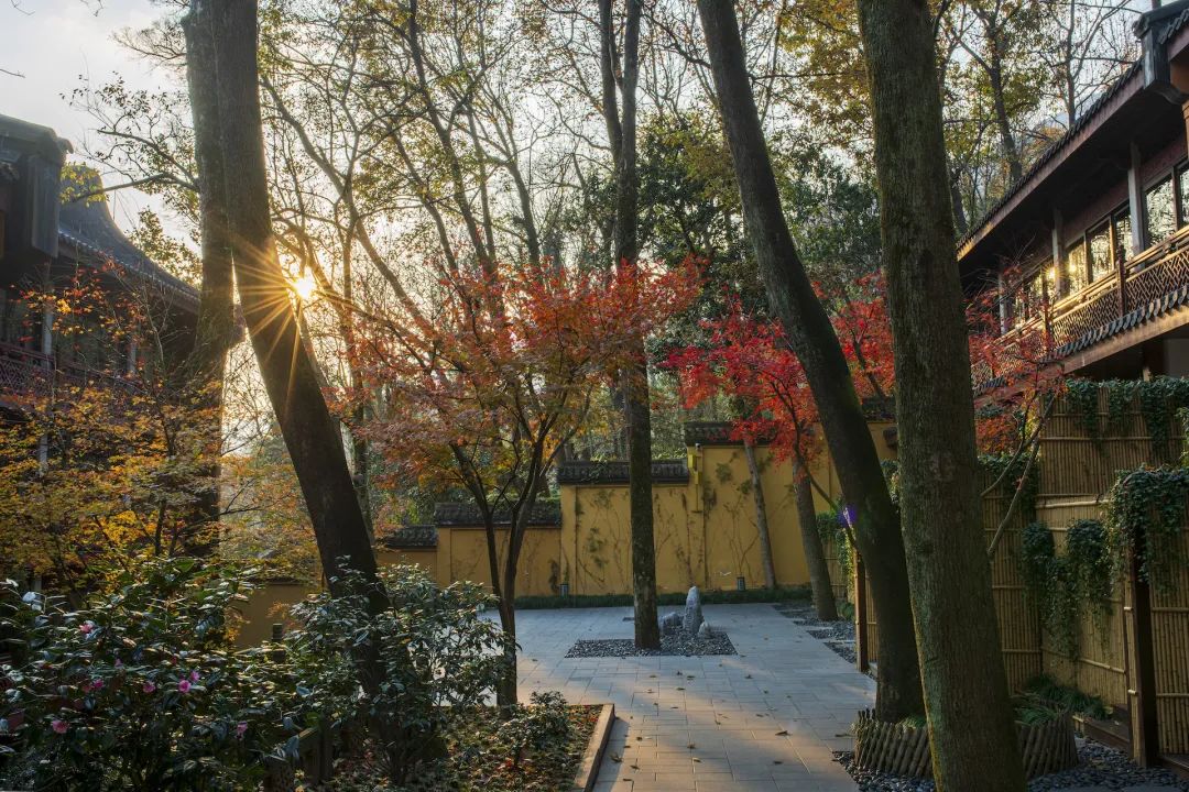 ���ǵ���ΪʲôҪ�ŷ�������ŷ��أ�