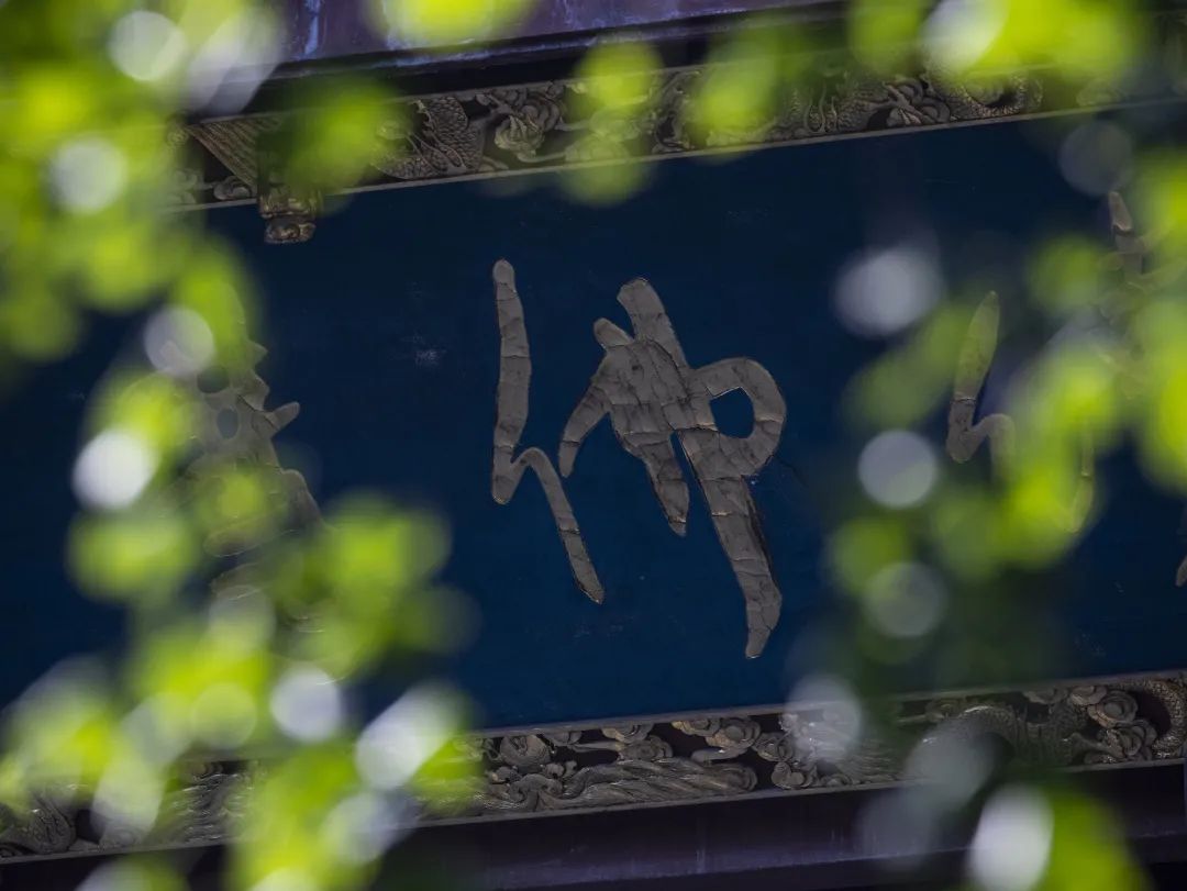 ���ǵ���ΪʲôҪ�ŷ�������ŷ��أ�