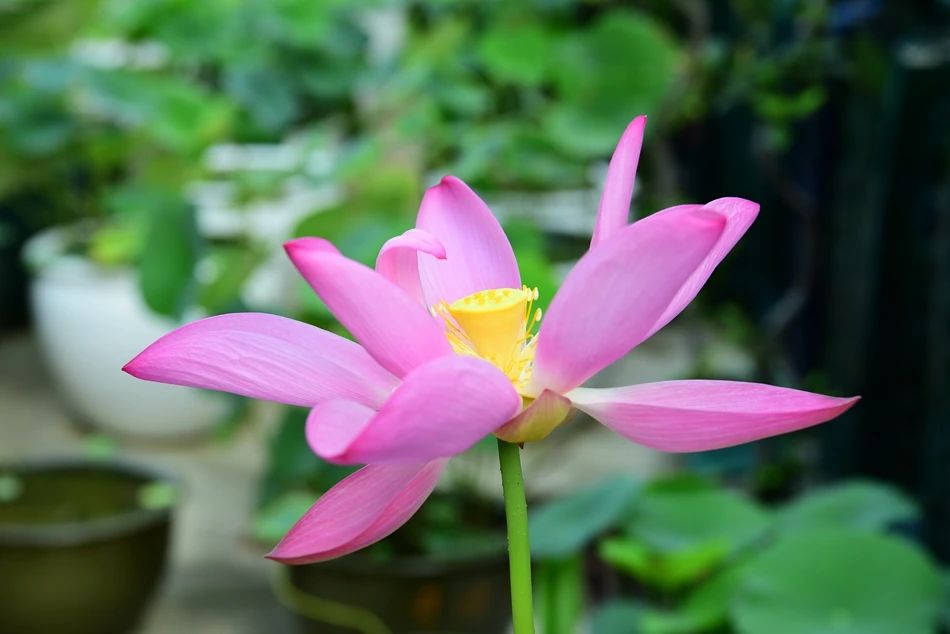 ������������һ������������