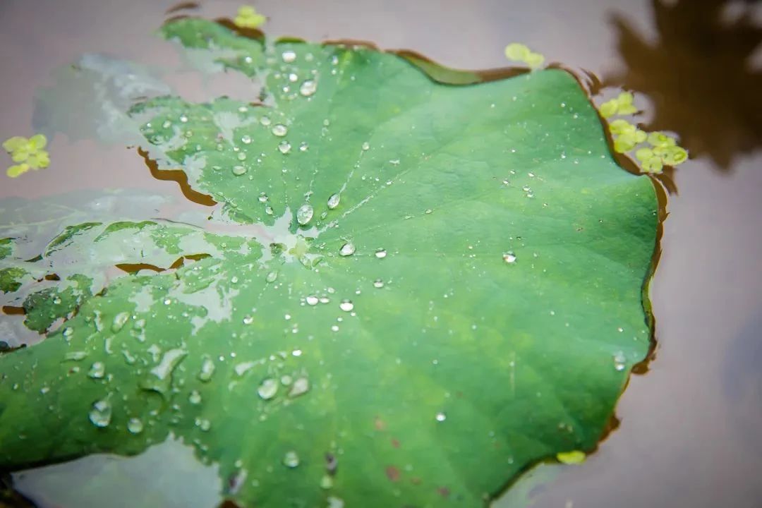 如何面对修行路上的考验? 如何面对修行路上的考验?