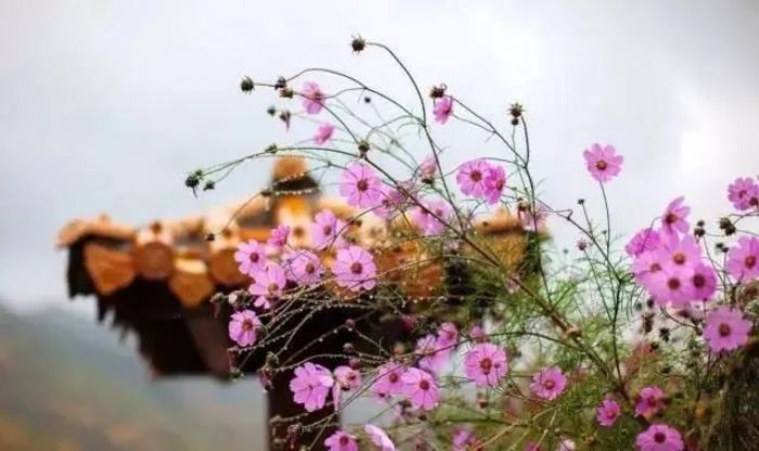 һ�������ˣ�ÿ���м����²�������