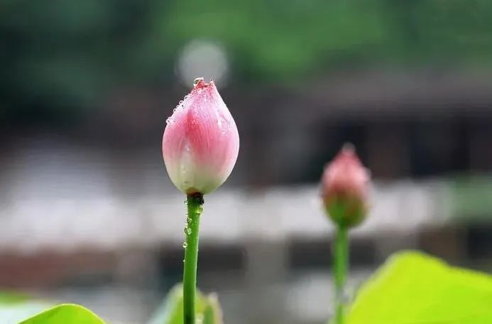 һ�������ˣ�ÿ���м����²�������