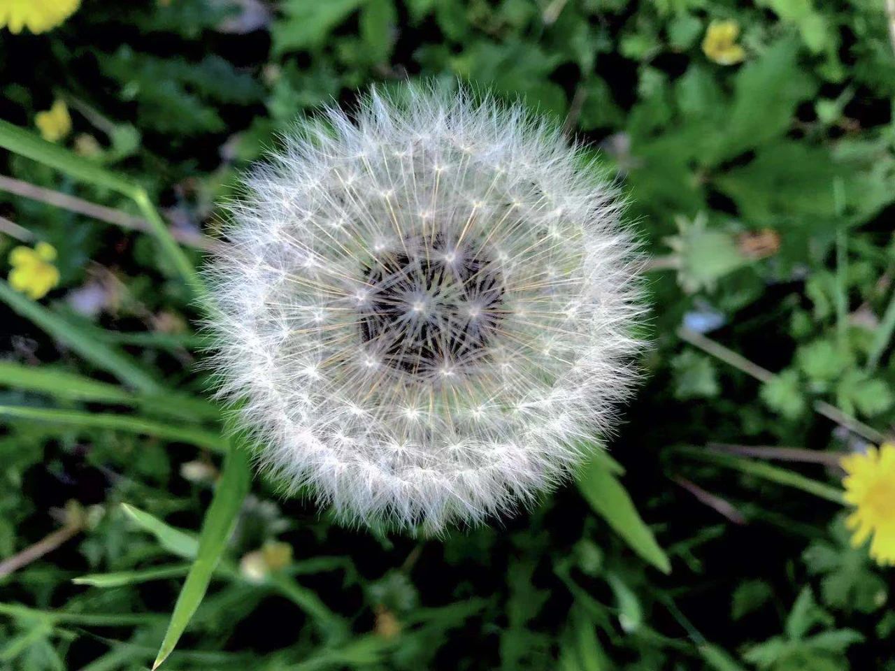 �˵���һ����ͣ���Ҫѧ�ᡰ�ϡ��ᡢ�롱