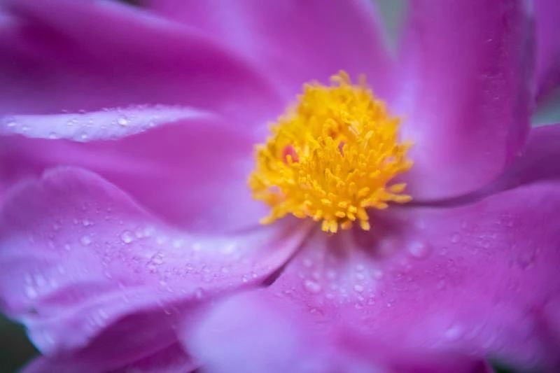 �˵���һ����ͣ���Ҫѧ�ᡰ�ϡ��ᡢ�롱