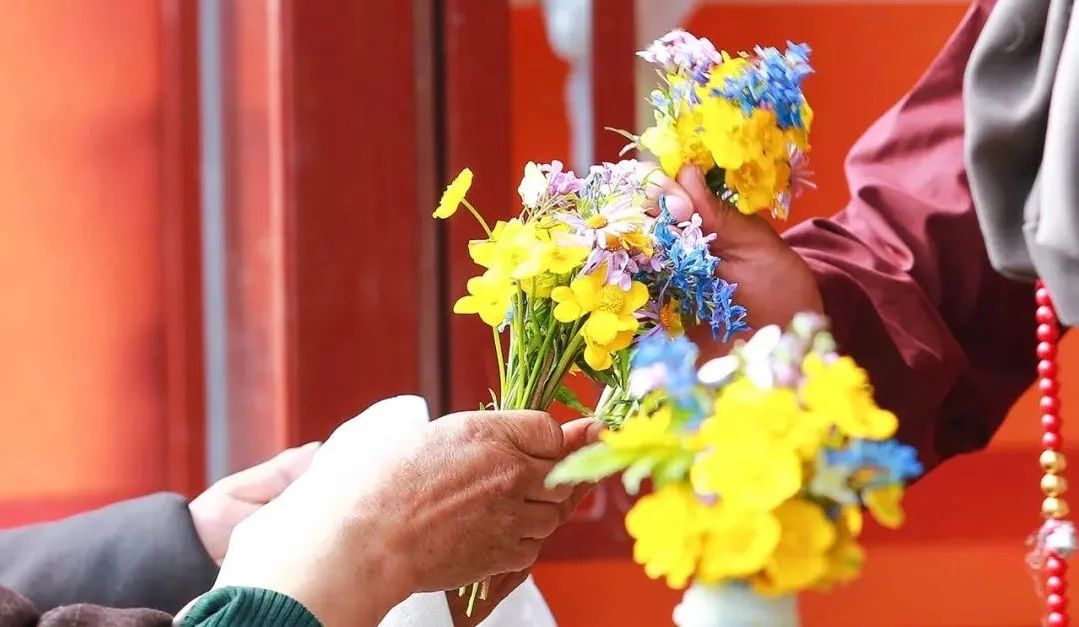 学佛是让生活更有智慧 学佛是让生活更有智慧