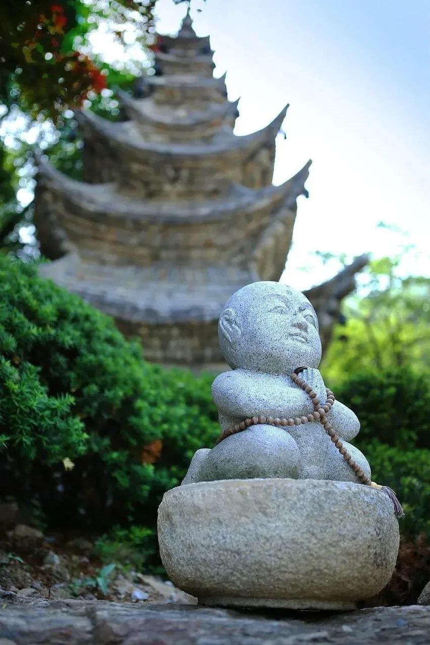 在生活中了生死,在了生死中生活 在生活中了生死,在了生死中生活