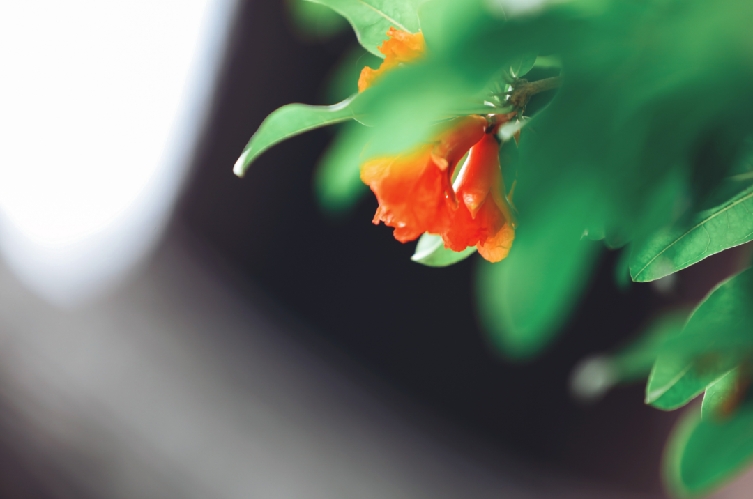 �����Ҫ���������ģ�����������ϰ�ߵý��