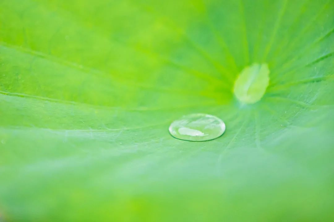 �����Ҫ���������ģ�����������ϰ�ߵý��