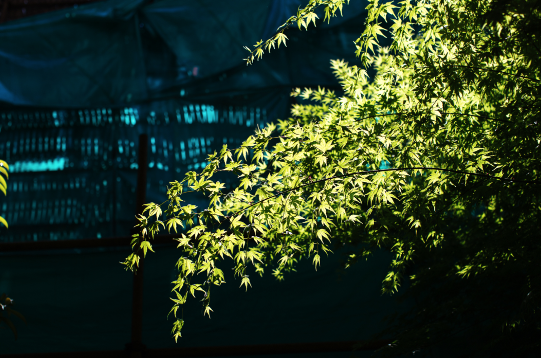 �����Ҫ���������ģ�����������ϰ�ߵý��