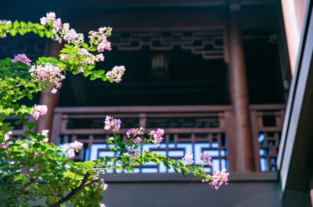 �����Ҫ���������ģ�����������ϰ�ߵý��