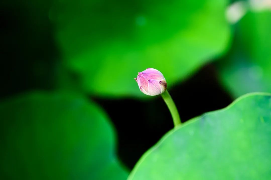 �����Ҫ���������ģ�����������ϰ�ߵý��