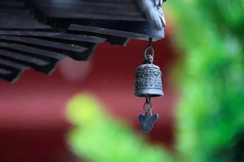 ������ʦд���ܵܵ�һ�����