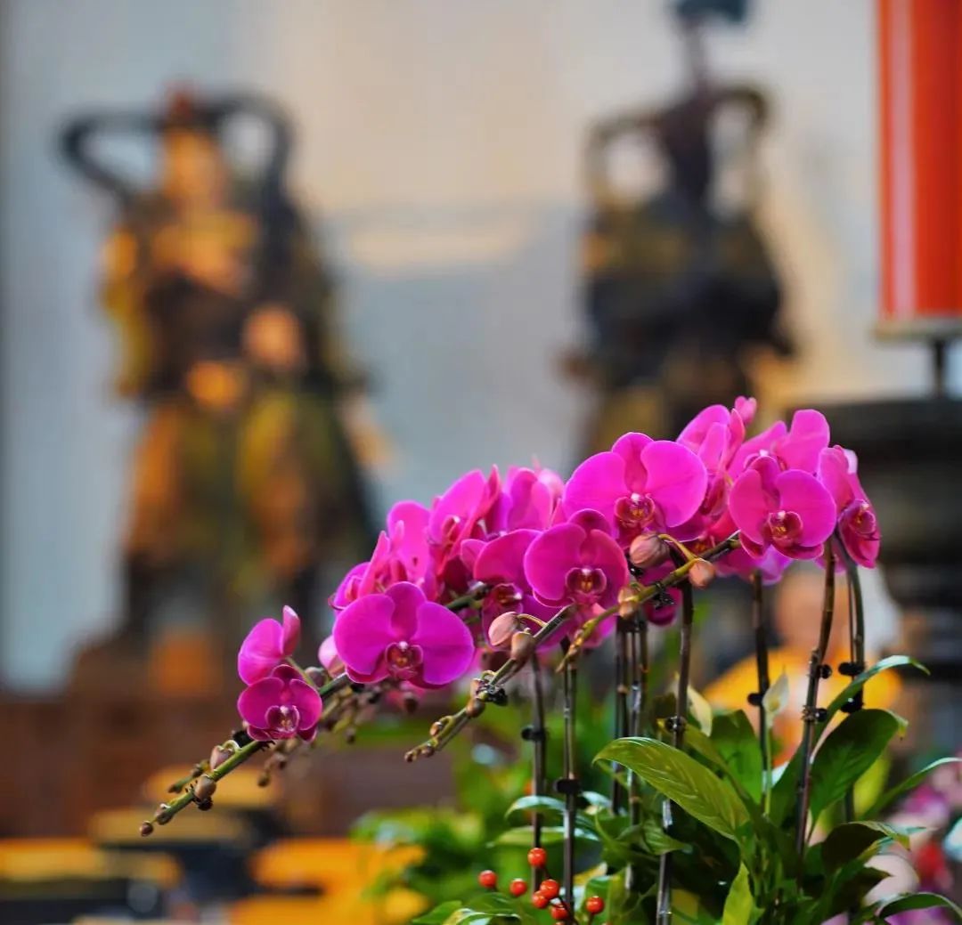 �ڼҾ�ʿ��С�ķ����Ӧ����ν��в��ȣ�