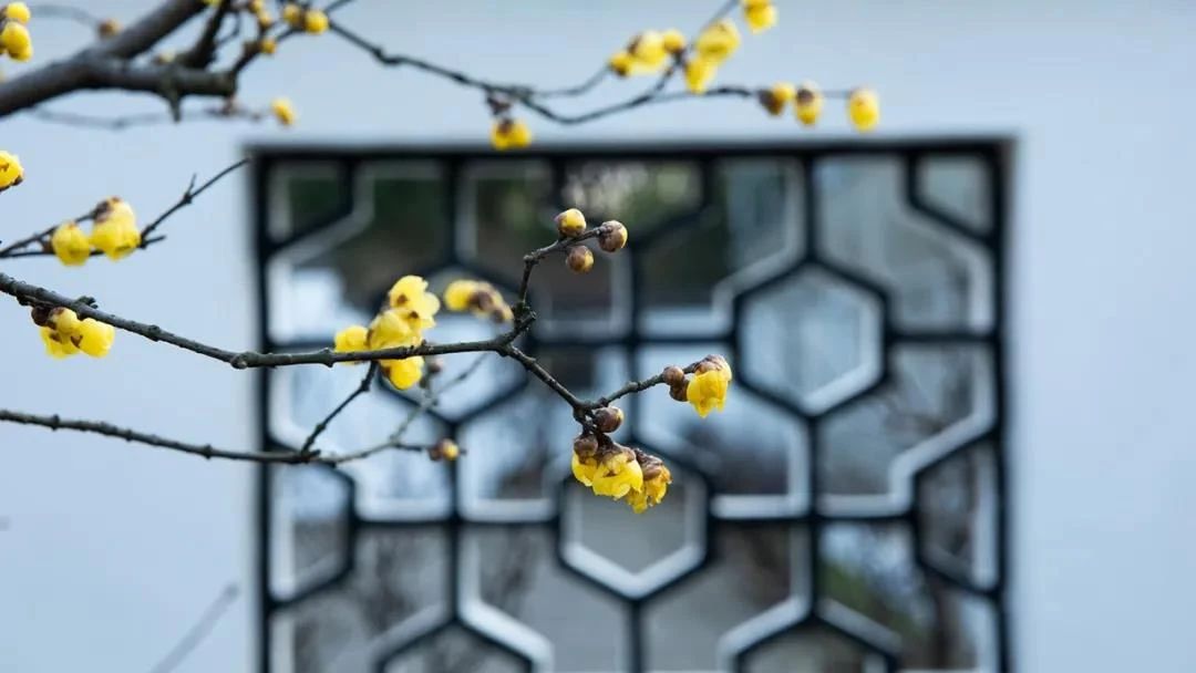 �ǻ������ĸ���Σ�