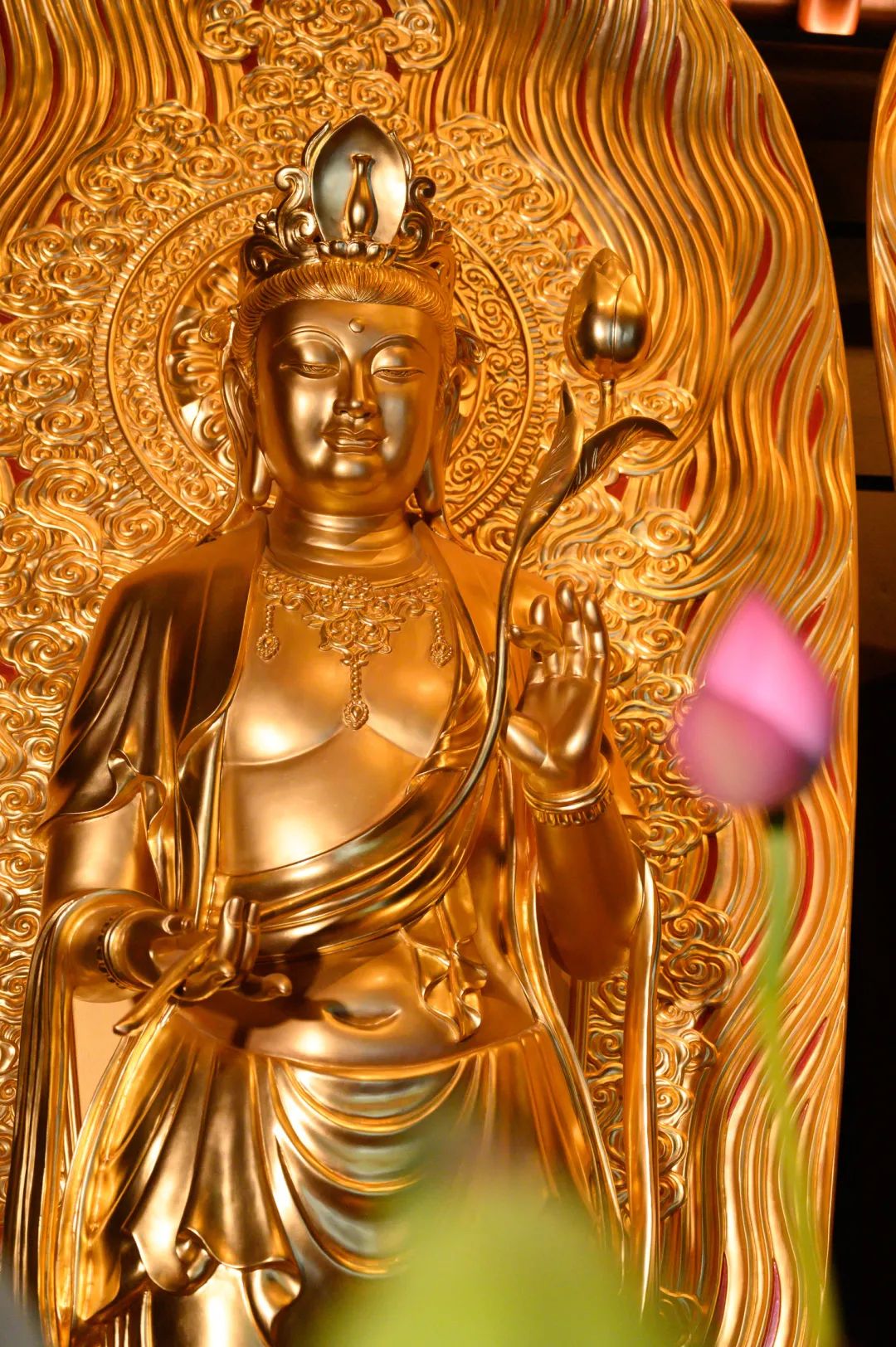 ��������δ�뿪������һֱ������Щ��ʽ���������ң�